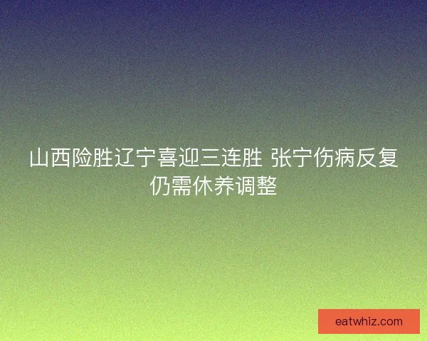 山西险胜辽宁喜迎三连胜 张宁伤病反复仍需休养调整 山西险胜辽宁喜迎三连胜 张宁伤病反复仍需休养调整