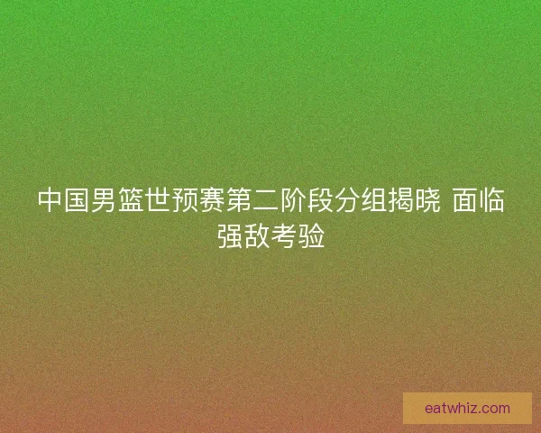 中国男篮世预赛第二阶段分组揭晓 面临强敌考验