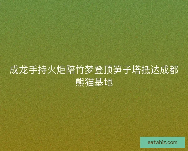 成龙手持火炬陪竹梦登顶笋子塔抵达成都熊猫基地 成龙手持火炬陪竹梦登顶笋子塔抵达成都熊猫基地