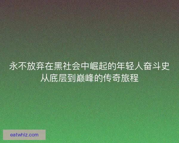 永不放弃在黑社会中崛起的年轻人奋斗史从底层到巅峰的传奇旅程 永不放弃在黑社会中崛起的年轻人奋斗史从底层到巅峰的传奇旅程